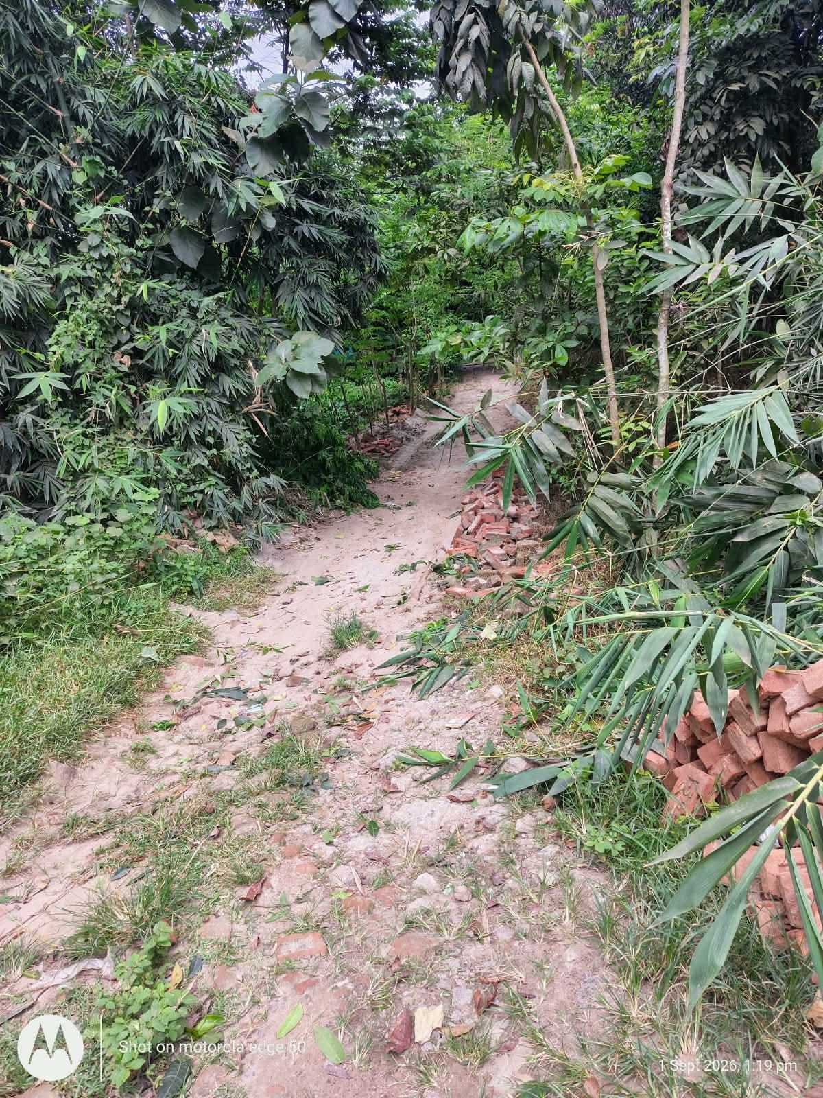শ্রীপুরে প্রশাসনের নোটিশ অমান্য করে সরকারি রাস্তা কাটার অভিযোগ