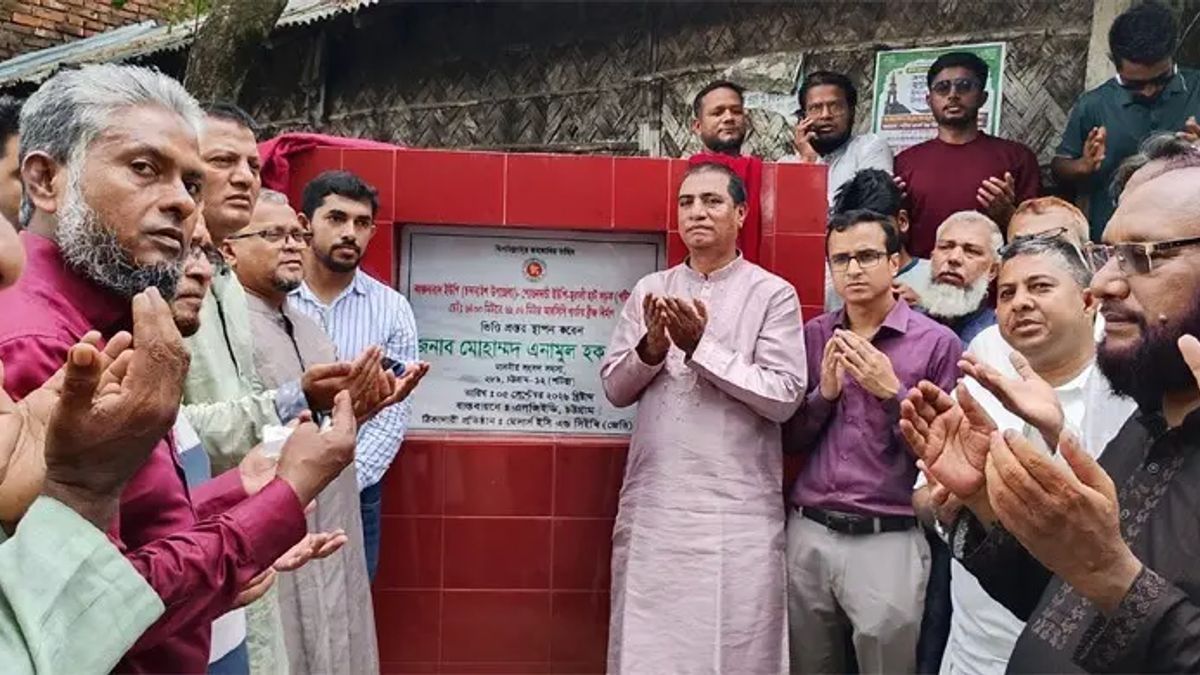 ১৭ বছর উন্নয়নের নামে লুটপাট হয়েছে: এনামুল হক