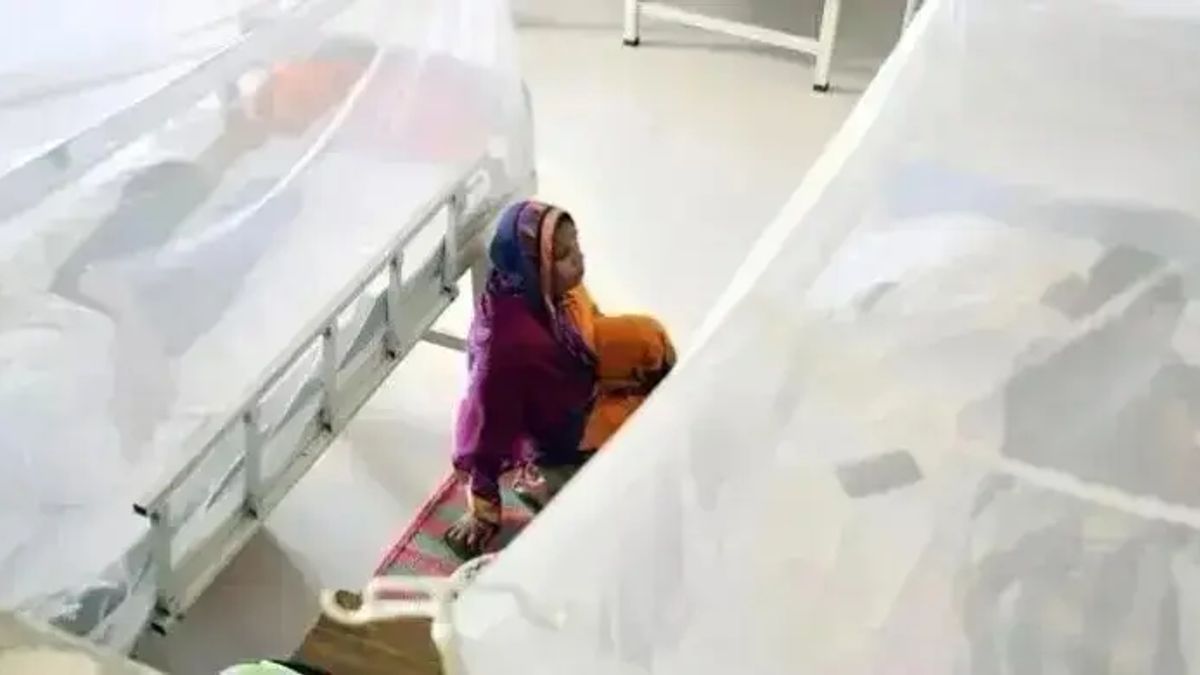 ডেঙ্গু নিয়ে হাসপাতালে ভর্তি ৫০ হাজার ছাড়ালো, মৃত্যু ১৪৩