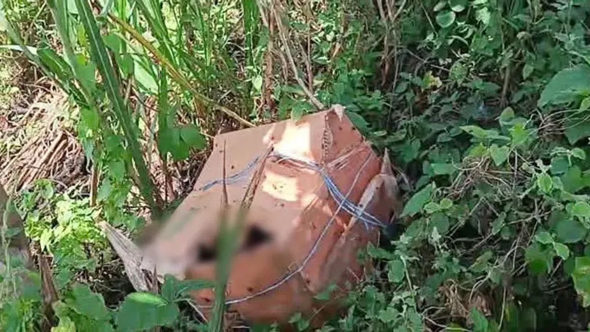 ফরিদপুরে কার্টন থেকে অজ্ঞাত ব্যক্তির ৬ টুকরো মরদেহ উদ্ধার