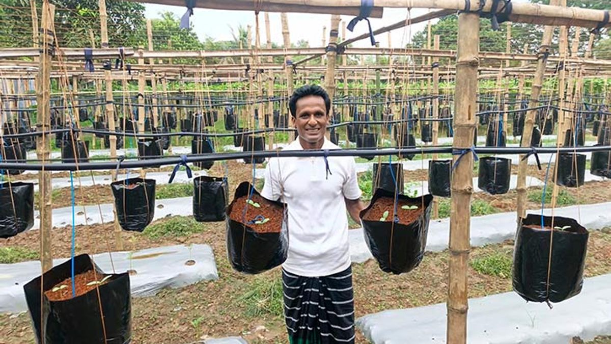 মাটি ছাড়াই কৃষির স্বপ্ন, ফেরদৌসের বাজিমাত