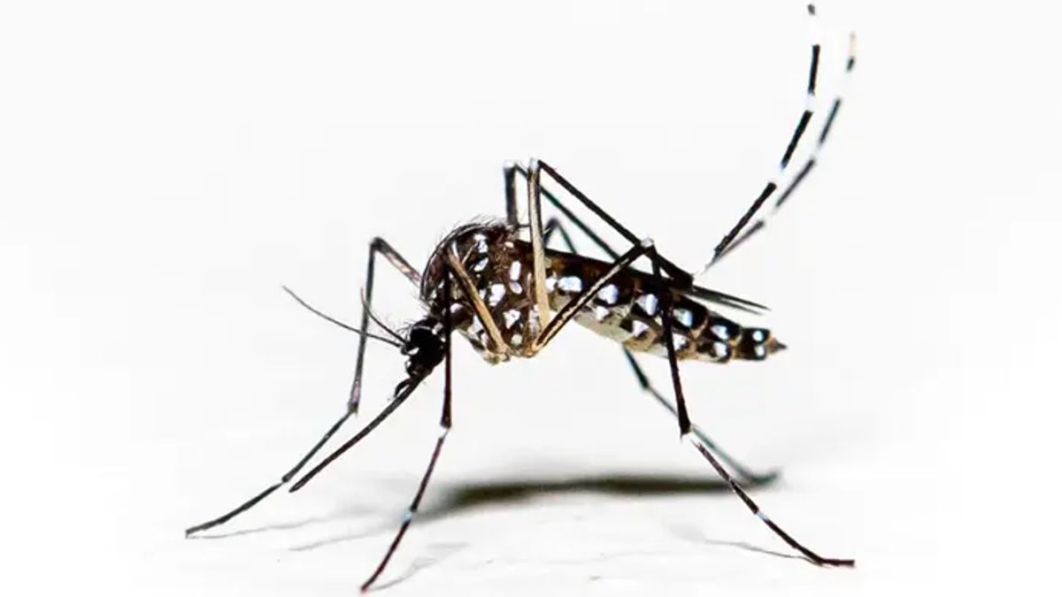 ডেঙ্গুতে বরগুনার এমপির শাশুড়ি মারা গেছেন