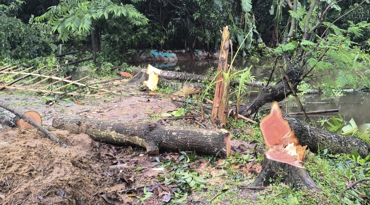 নওগাঁয় আদালতে হাজিরা দেওয়ার সুযোগে বাড়িতে হামলা, ভাঙচুর ও লুটপাট