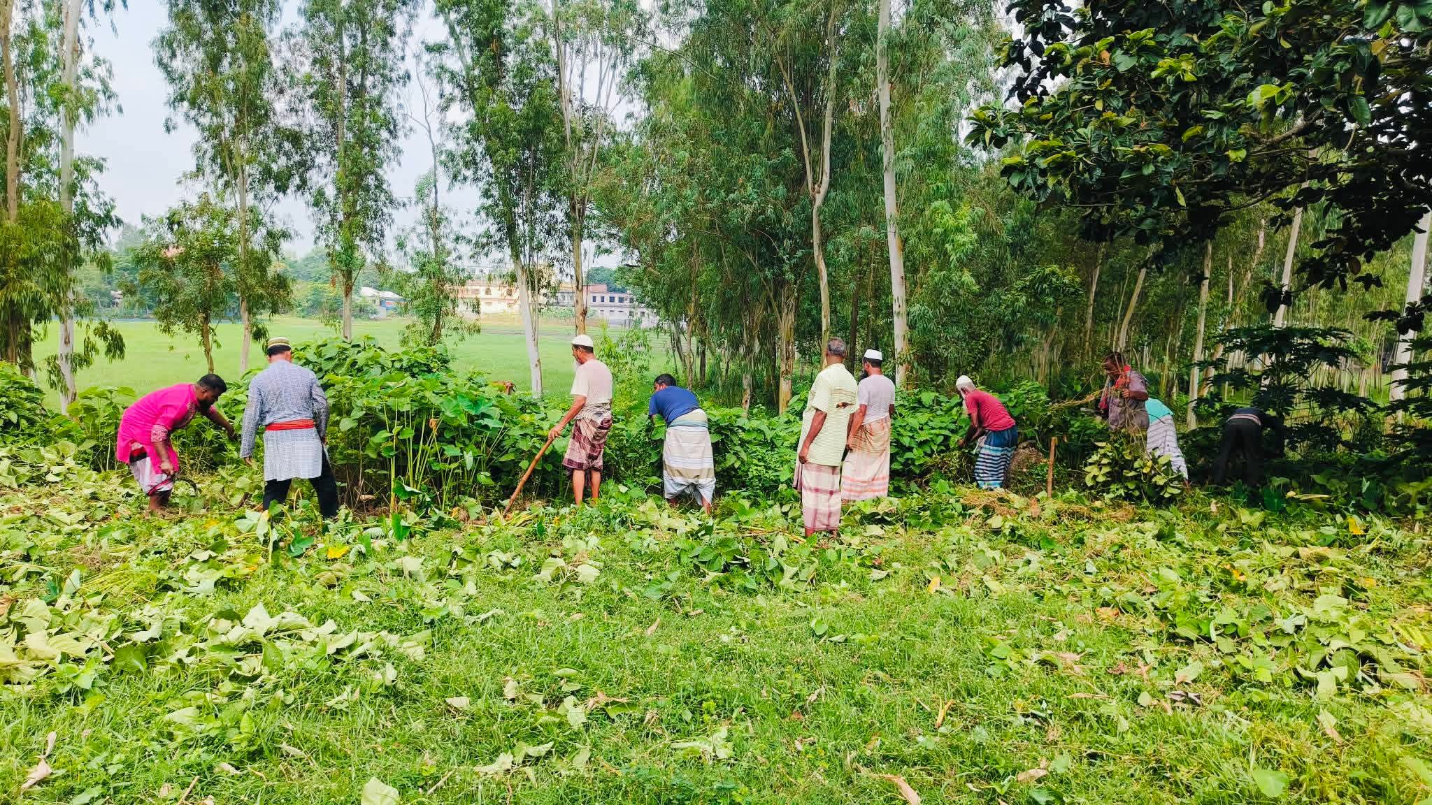 নাটোরে স্বেচ্ছাশ্রমে চকসিংড়া কবরস্থান পরিষ্কার করলেন এলাকাবাসী