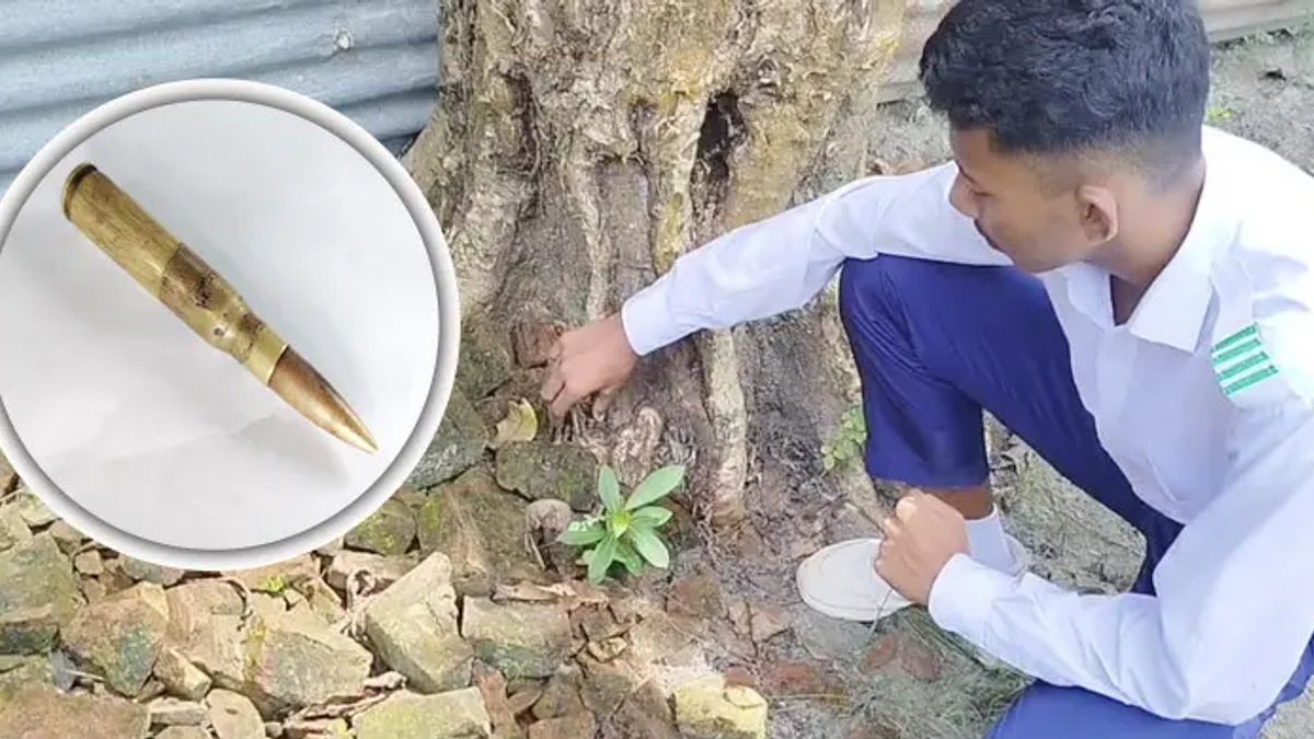 ‌‌‌‌‌‌‘খেলনা’ ভেবে বাড়িতে এনেছিল জিসান, পরে জানা গেল এটি কার্তুজ