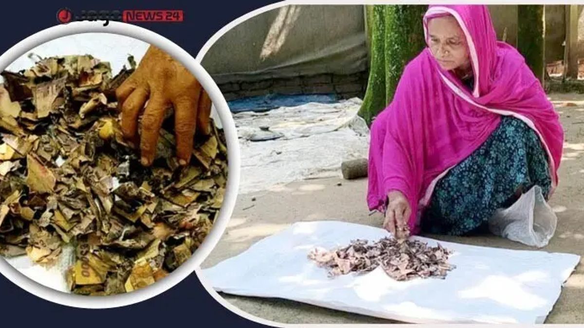 জর্দার কৌটায় ১০ বছরের সঞ্চয়, খুলতেই মনোয়ারার মাথায় হাত