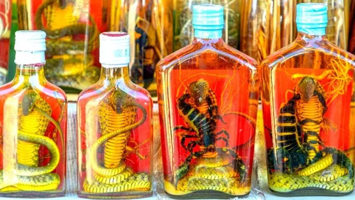 সাপ ডোবানো ‘স্নেক ওয়াইন’ দক্ষিণ-পূর্ব এশিয়ার দেশগুলোতে কেন এত জনপ্রিয়