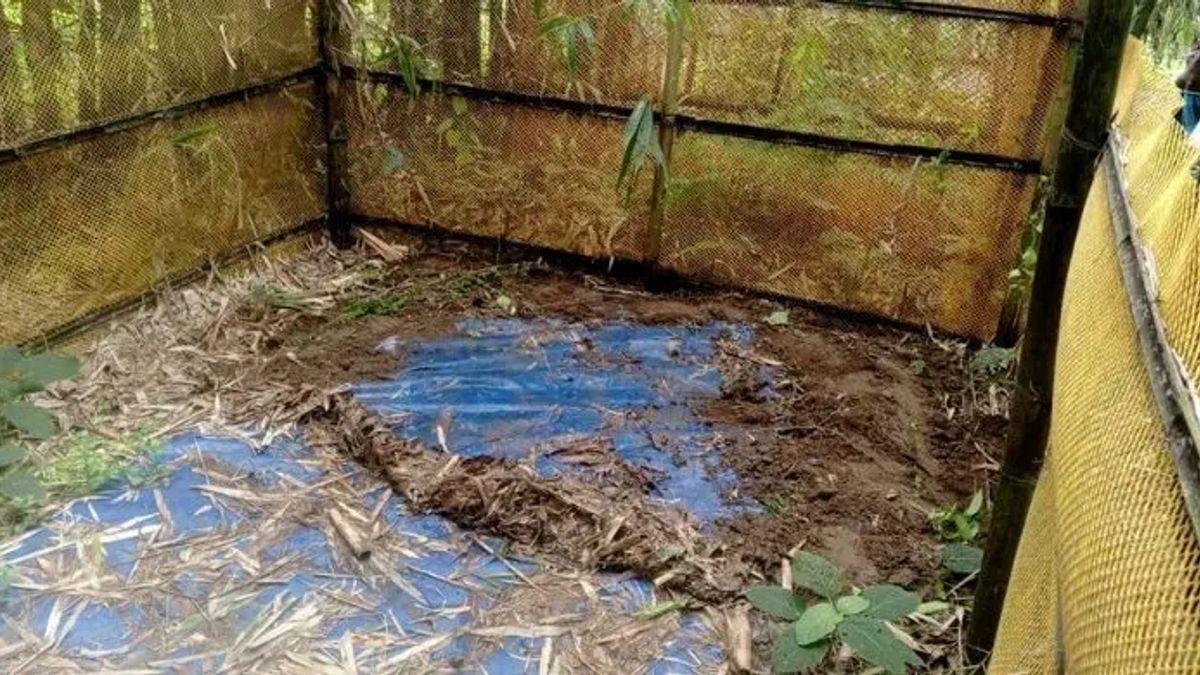 ঠাকুরগাঁওয়ে কবরস্থান থেকে ৫ কঙ্কাল চুরি